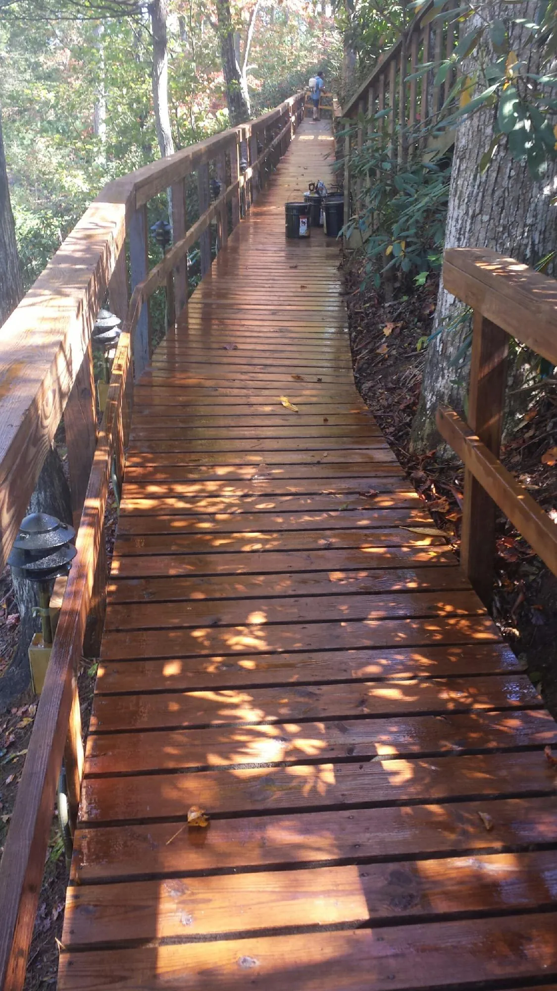 Freshly stained wood walkway winding through the woods in Johns Island