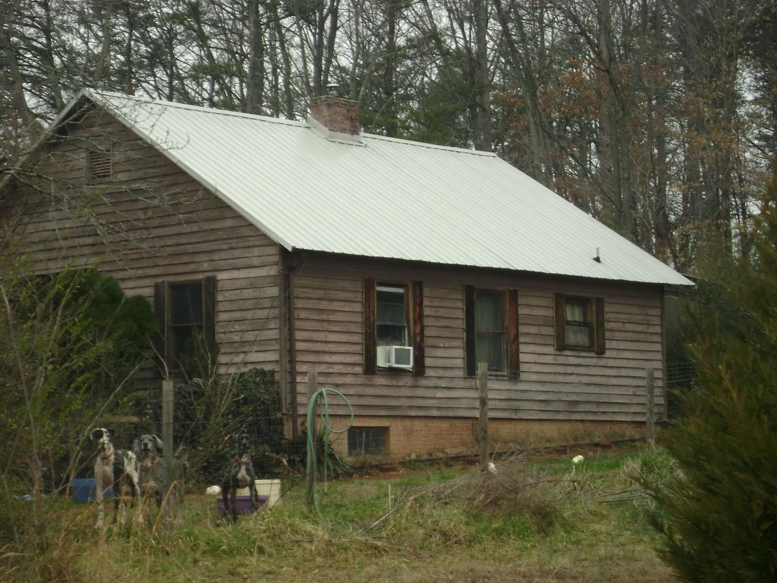 White metal roof on an old wood sided farmhouse, from a Asphalt Shingle Roof Repair job in Johns Island